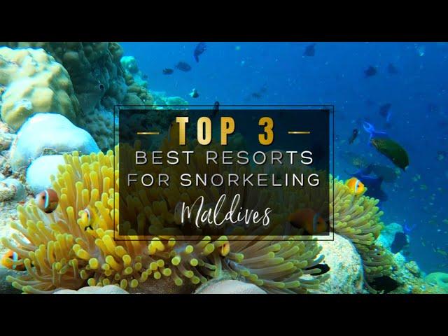 SNORKELING IN THE MALDIVES 2022  The 3 Best Resorts with INSANE House Reefs to Snorkel (4K UHD)