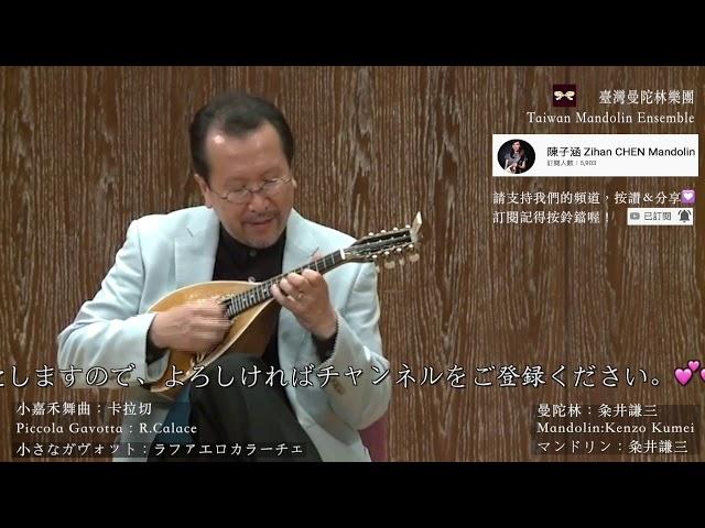 【2014Taiwan Mandolin Festival 】小さなガヴォット Piccola Gavotta：R.Calace 小嘉禾舞曲｜Mandolin 粂井謙三 Kenzo Kumei