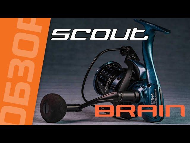 Обзор катушки Brain Scout