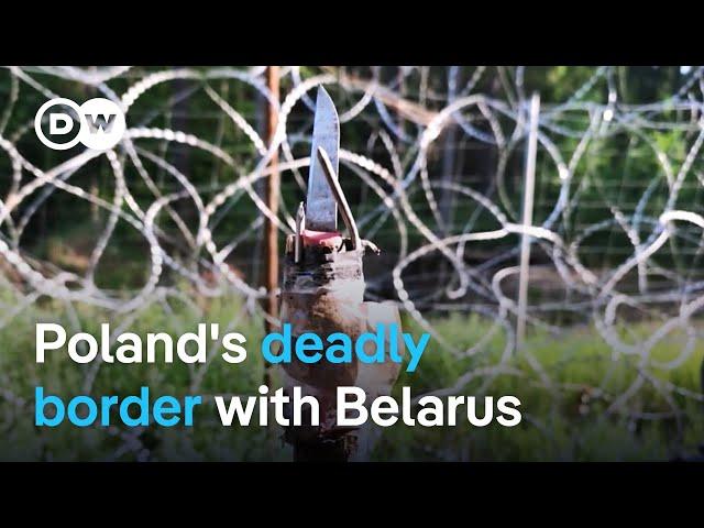 Poland-Belarus border row: Hybrid warfare or refugee crisis? | Focus on Europe