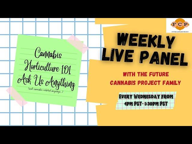 Future Cannabis Project Ask The Cannabis Nerd Dec 15 2021