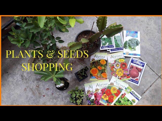 Nursery se plants liye / Plants Haul / Plants bought  from Nursery [ Nature Desires ]