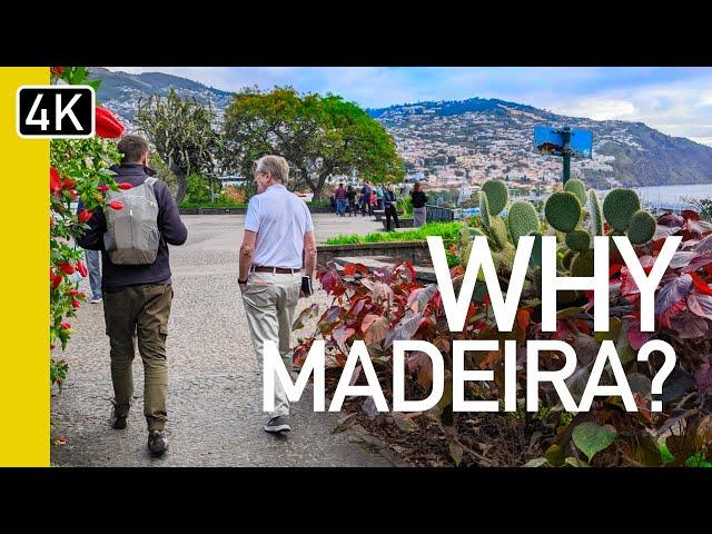 Moving to Madeira | Madeira Life Walk & Talk