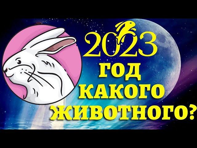 ГОД КАКОГО ЖИВОТНОГО 2023 по восточному календарю? 2023 год кого? Гороскоп на будущий год