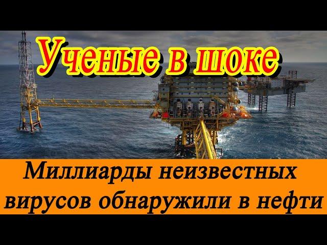 Ученые в шоке: миллиарды неизвестных вирусов обнаружили в нефти