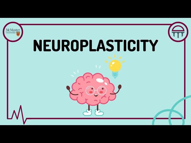 Neuroplasticity