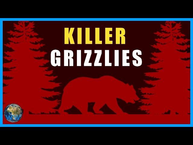 The Grizzly Bear Attacks of 1967