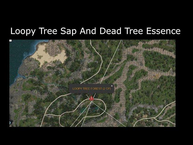 Easy To See And Gather Loopy Tree Sap With Dead Tree Essence