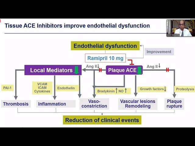 Are ARBs equivalent to ACEI in patients at risk - Dr PC Manoria