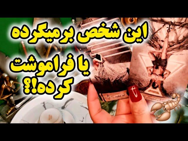 آرامش فال_ این شخص برمی‌گرده ؟یا فراموشت کرده؟🪄️