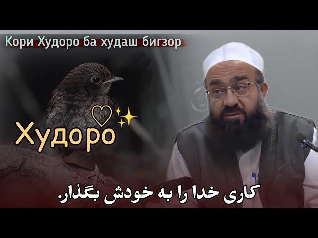 کاری خدا را به خودش بگذار خیر را نمی‌دانی.Кори Худоро ба худаш бигзор️مولانا بهزاد فقهی