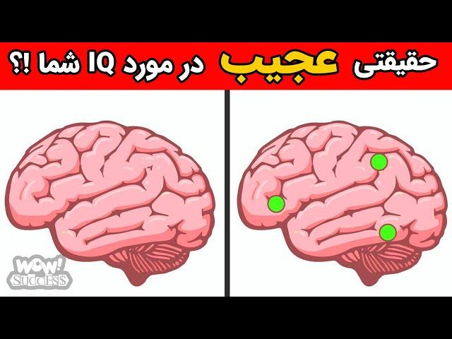 حقیقتی عجیب در مورد آی کیو شما که نمی دانستید !؟