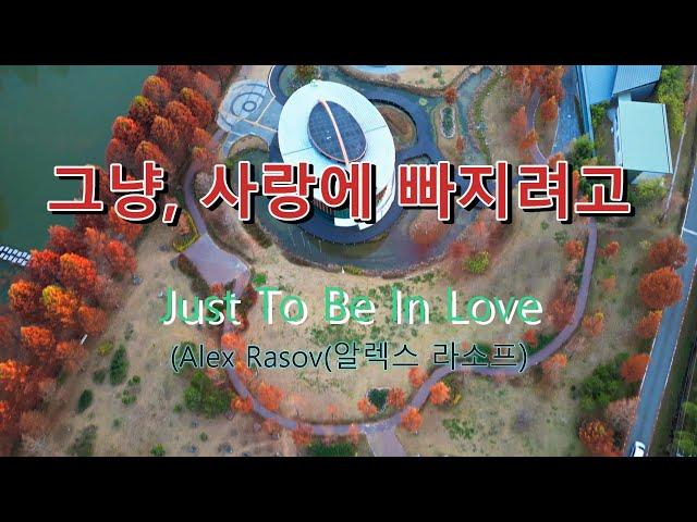 그냥, 사랑에 빠지려고(Just To Be In Love) - 담양 메타세쿼이아길의 가을 풍경