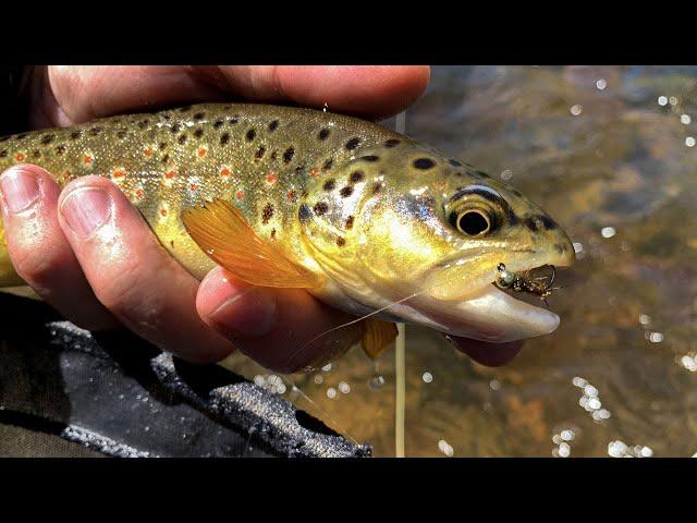 Frying Pan River Video Report