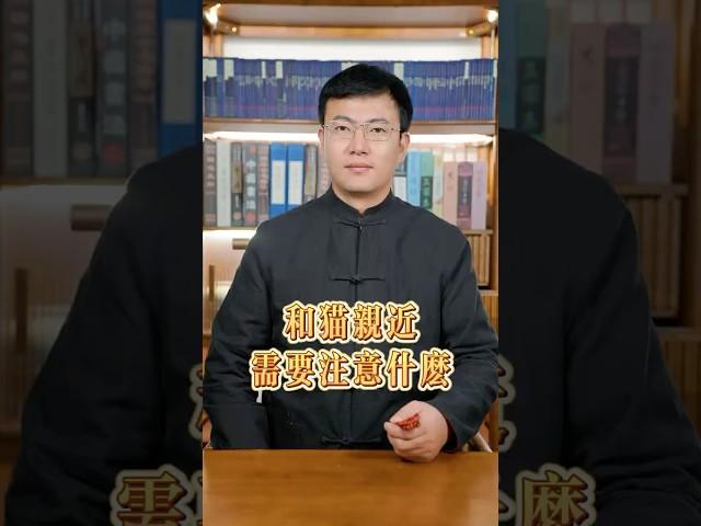 和猫亲近需要注意什么呢？#国学智慧 #国学文化 #人生感悟 #传统文化 #知识分享 八字教学,2个小时学会八字,震阳师兄八字精准预测,八字入门,零基础八字入门,零基础风水入门,宝宝起名,八字算命。