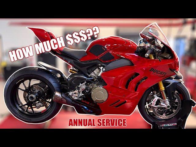 How Much Is A Ducati Panigale V4S Annual Service??? | SPECIAL SURPRISE!?