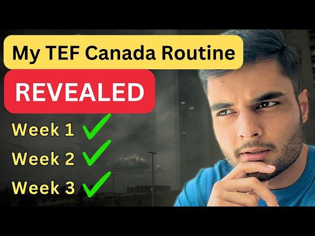 Best routine ever for French beginners for TEF Canada