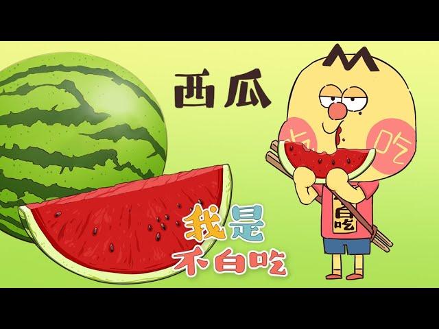 【我是不白吃】23 吃瓜群众是如何炼成的？丨我是不白吃 Mr.foodie