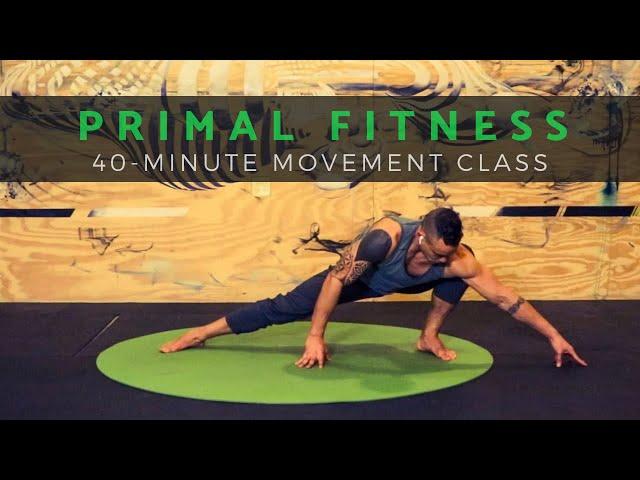 *LOVE YOGA? TRY PRIMAL MOVEMENT* Workout for Mobility & Core (Follow Along, No Equipment)