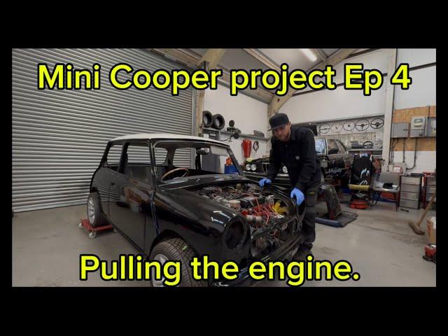 Classic Mini Project | Episide 4 - back from paint and pulling the engine.