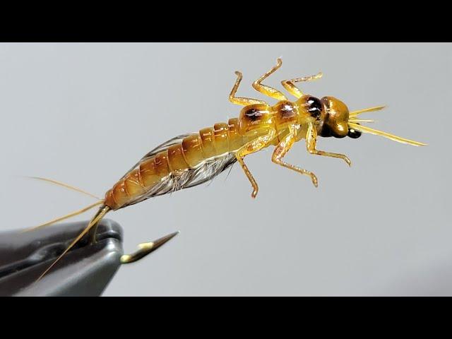 The Fly That Could Save Your Fishing Trip - The Burrowing Mayfly