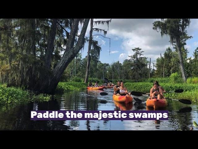 New Orleans Kayak & Swamp Tour