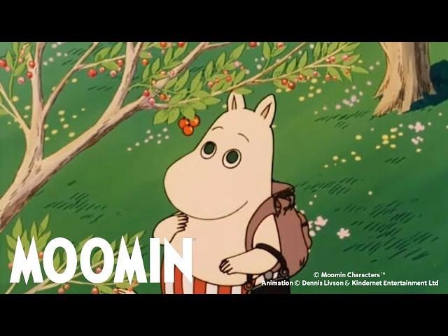 The Wreck & The Moomins Discover the Island | Moomin 90s | DOUBLE FULL EPISODE