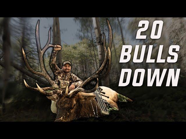 Best Of "Archery Elk Hunting" (Compilation) | Elk Week 2023