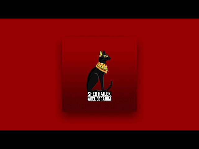 عادل إبراهيم - شد حيلك | Adel Ebrahim - Shed Hailek 2021