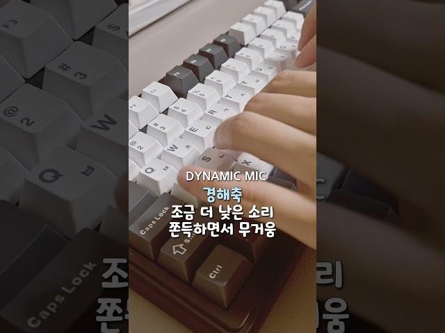 경해축 VS 세이야축 비교 타건 [AULA 독거미 F99 키보드]  #asmr
