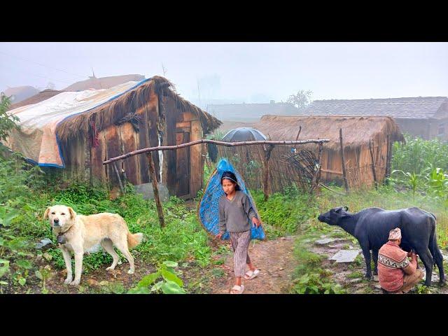 This is Himalayan Nepali village life|| Naturally And Beautiful Himalayan Rainy Season lifestyle