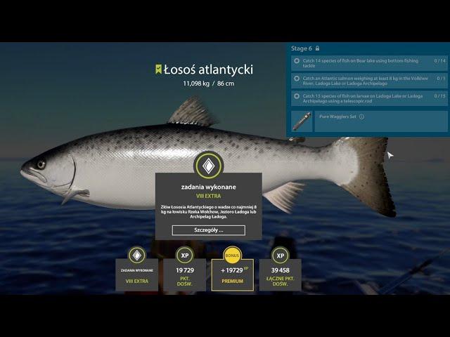 Salmon Stage 6 Ladoga Archipelago | Russian Fishing 4