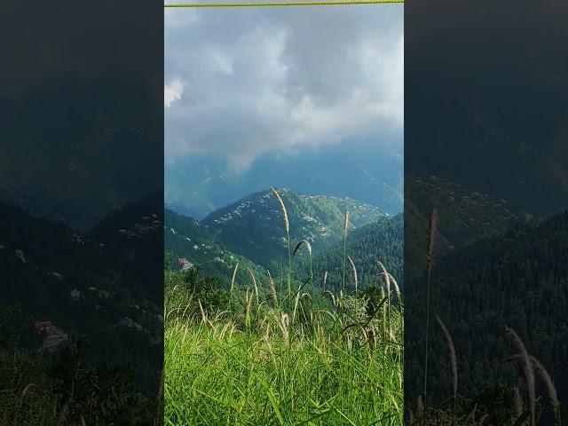 Pakistan Most Amazing Valley in Khyber Pakhtunkhwa #nature #incrediblepakistan #mountains #pakistan