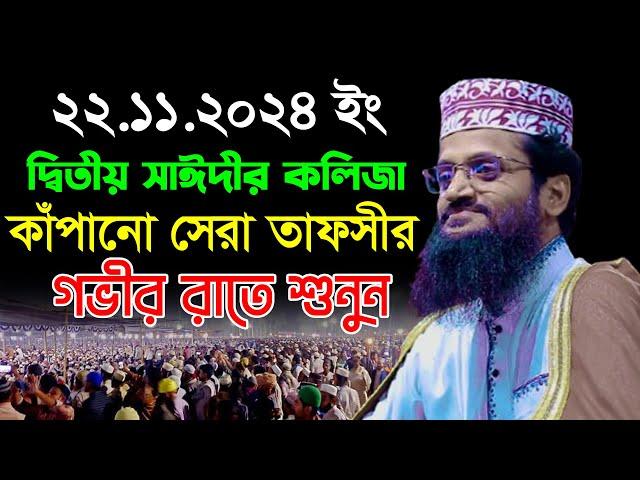 দ্বিতীয় সাঈদীর কলিজা কাঁপানো সেরা তাফসীর | আব্দুল্লাহ আল আমীন নতুন ওয়াজ | Abdullah Al Amin Waz 2024