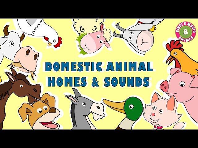 Domestic Animal Homes & Sounds | Educational Rhymes | Nursery Rhymes for Children