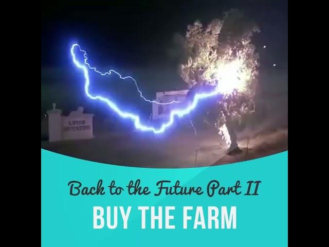 Idiom: Buy the farm (meaning, example, pronunciation, movie clip)