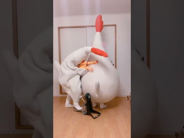 ニワトリ流盆踊り chicken festival#shorts #きぐるみ母さん #chickenmom