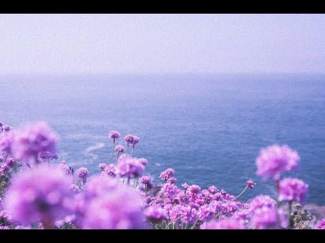 ＨＩＲＡＥＴＨ [ Wave - Chill Beats Mix ]