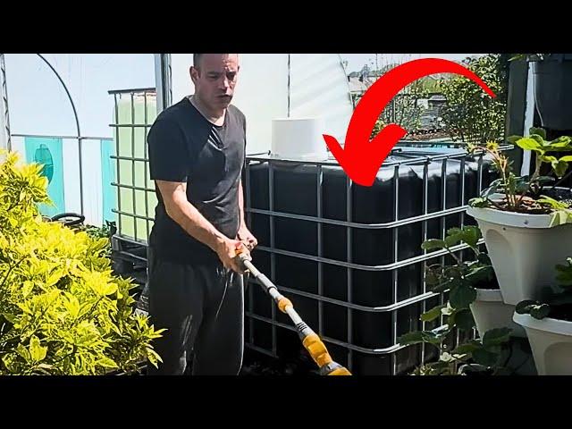 20 Genius Rainwater Hacks Every Gardener Must Know (Beginners to Pros!)