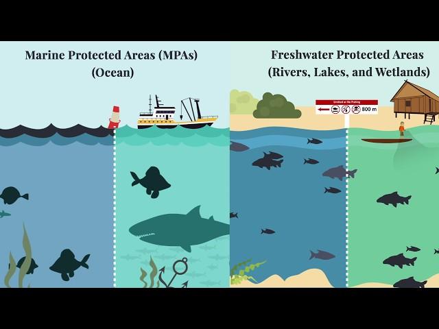 How to Establish and Manage Fish Conservation Zones