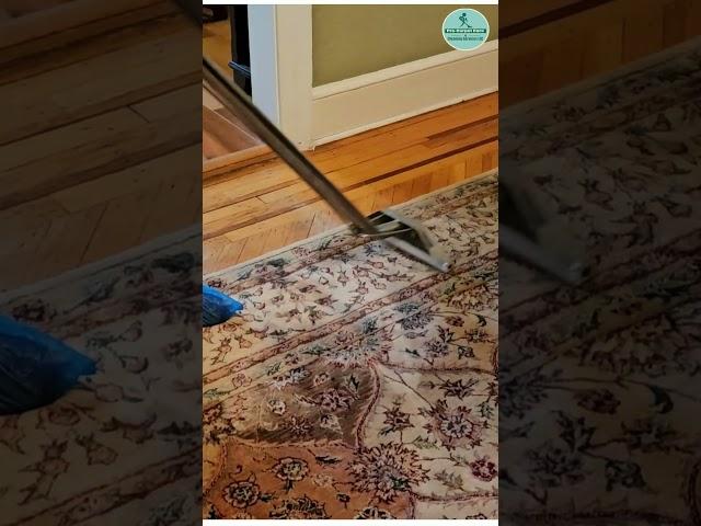 Area Rug Cleaning  Pet odor Removal - Springfield NJ