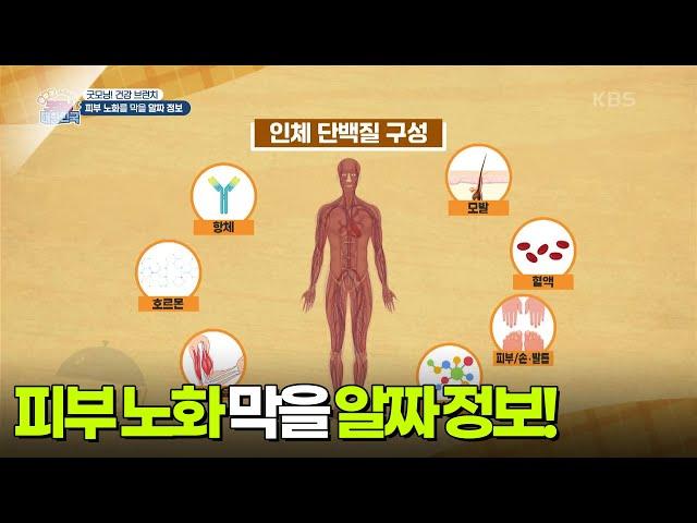 [굿모닝! 건강 브런치] 피부 노화를 막을 알짜 정보 [생방송 굿모닝 대한민국] | KBS 250621 방송