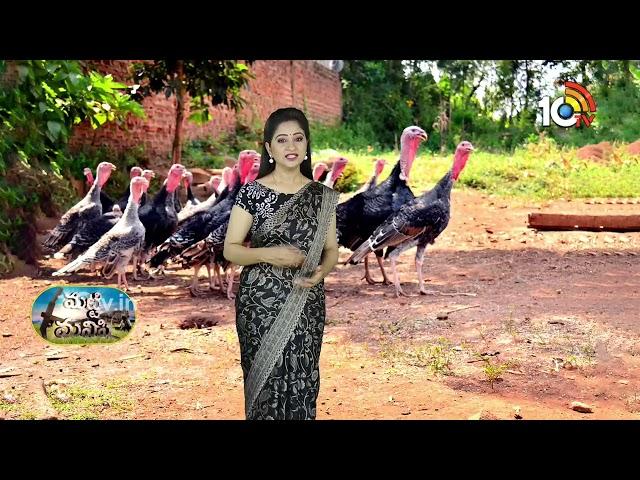 Matti Manishi Full Episode | మట్టి మనిషి | Agriculture Tips | 23-11-2024 | 10TV Agri