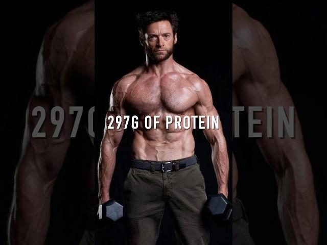 297g PROTEIN DIET