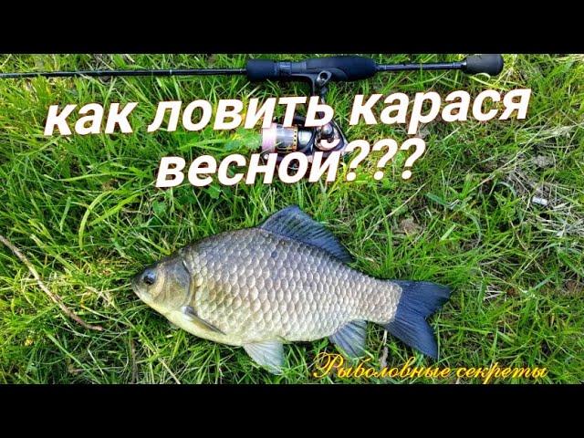 Как и когда ловить КАРАСЯ ВЕСНОЙ??? На что клюет карась!!! Основные СЕКРЕТЫ!
