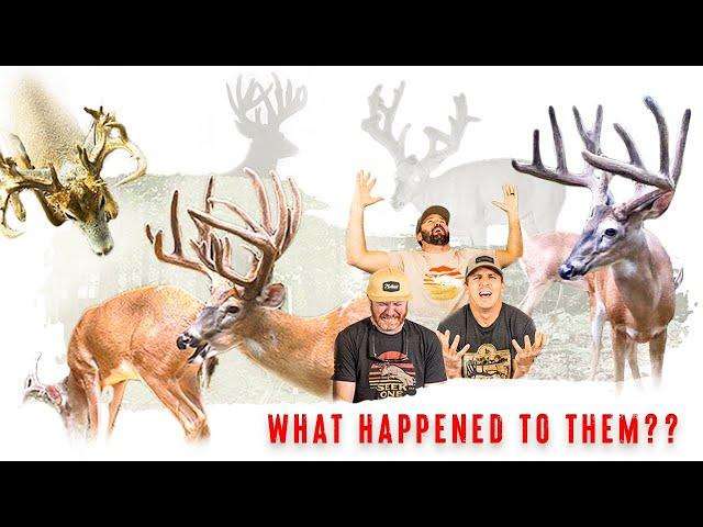 TOP 5 BUCKS THAT GOT AWAY!! 200"+ SUBURBAN Whitetails (Untold Stories)