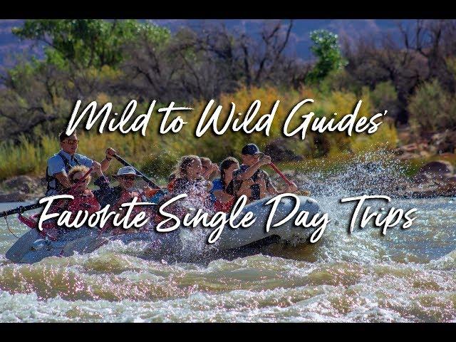 Top Single Day Raft Trips According to Mild to Wild Guides | Mild to Wild Rafting & Jeep Tours