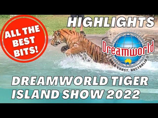 Dreamworld theme park Tiger Island Show highlights - tigers running, diving, swimming!