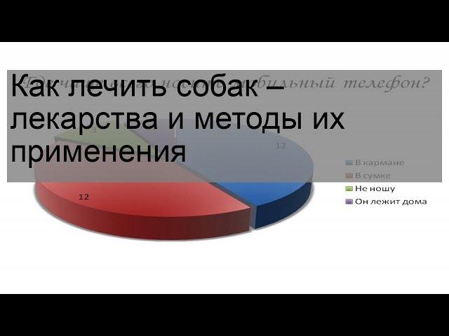 Как лечить собак – лекарства и методы их применения