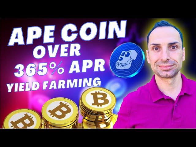 APE Coin - How to Earn over 365% APR by Providing Liquidity / Step By Step / Crypto Phil